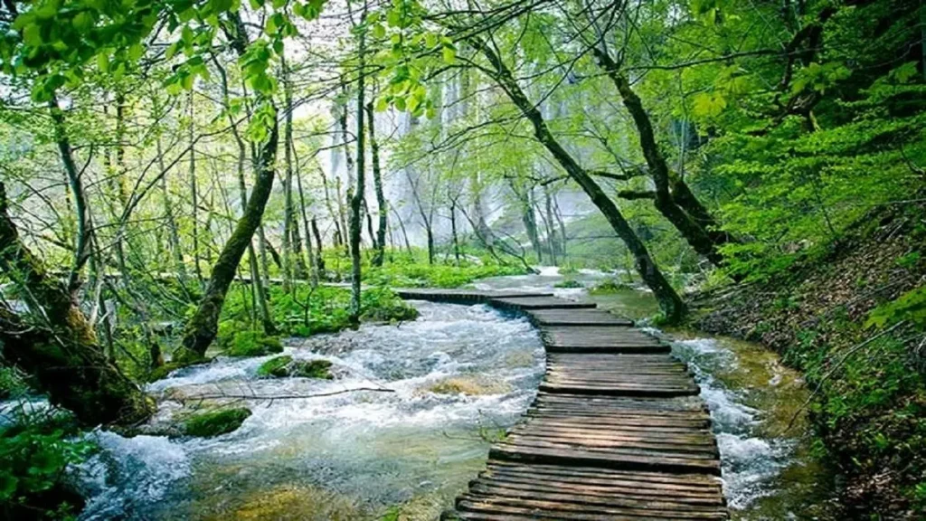 جاذبه های گردشگری گرگان