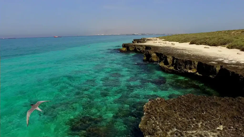 مالدیو ایران